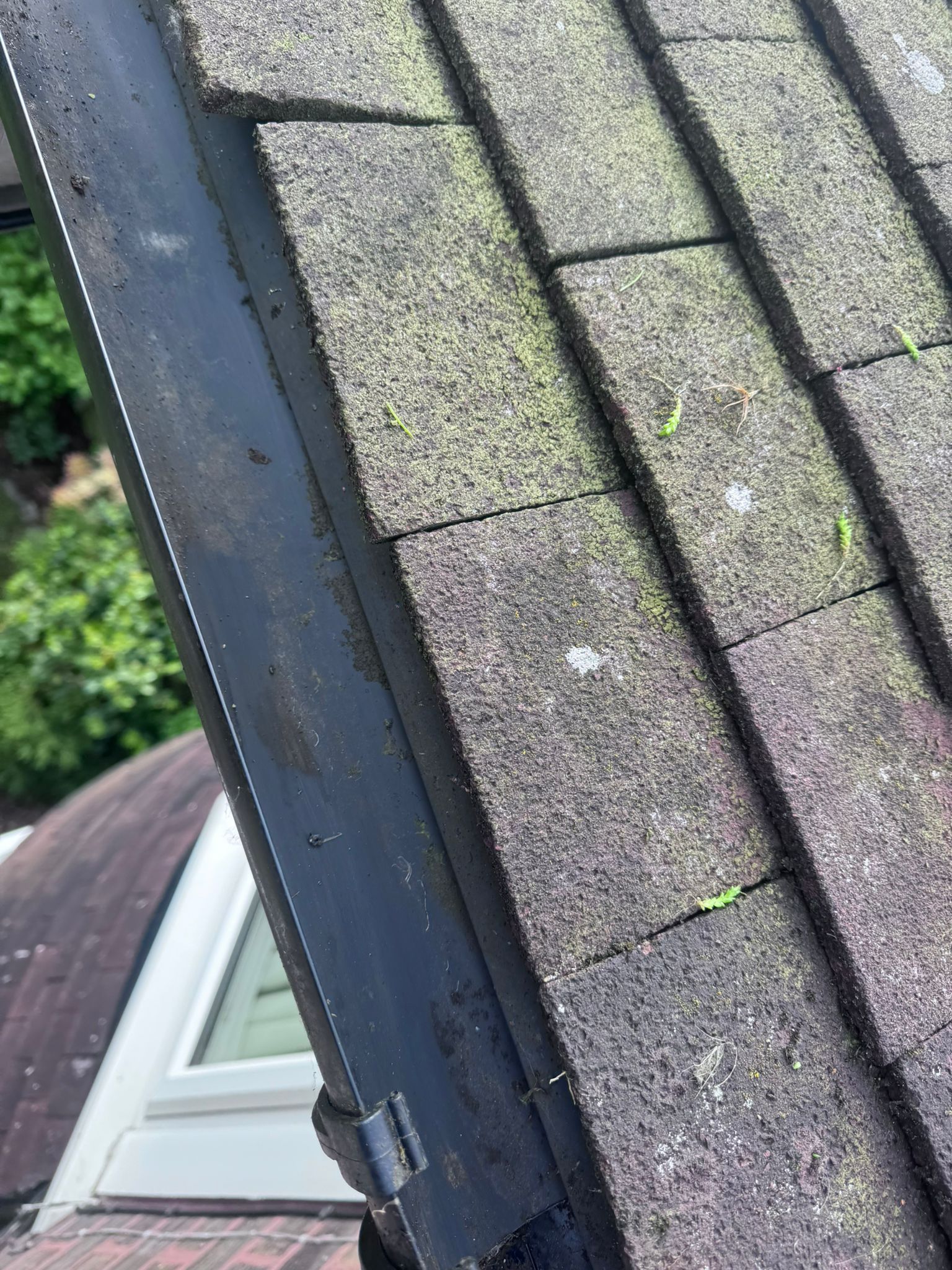 Clean cleared gutter after service